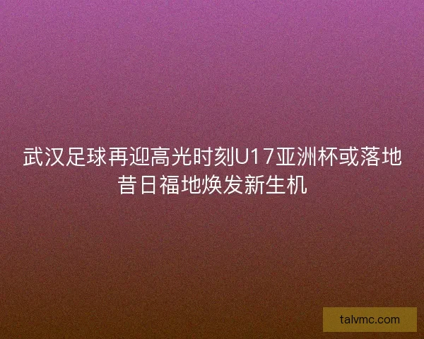武汉足球再迎高光时刻U17亚洲杯或落地昔日福地焕发新生机