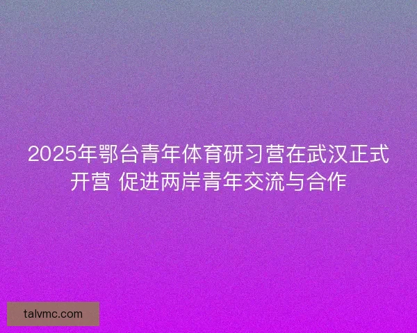 2025年鄂台青年体育研习营在武汉正式开营 促进两岸青年交流与合作 2025年鄂台青年体育研习营在武汉正式开营 促进两岸青年交流与合作