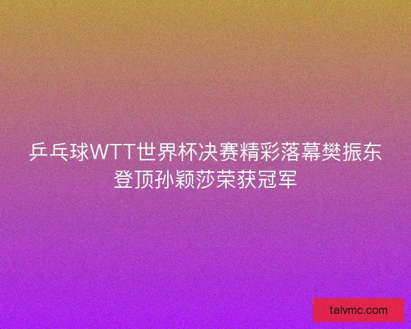 乒乓球WTT世界杯决赛精彩落幕樊振东登顶孙颖莎荣获冠军
