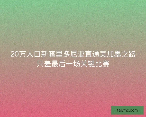 20万人口新喀里多尼亚直通美加墨之路只差最后一场关键比赛