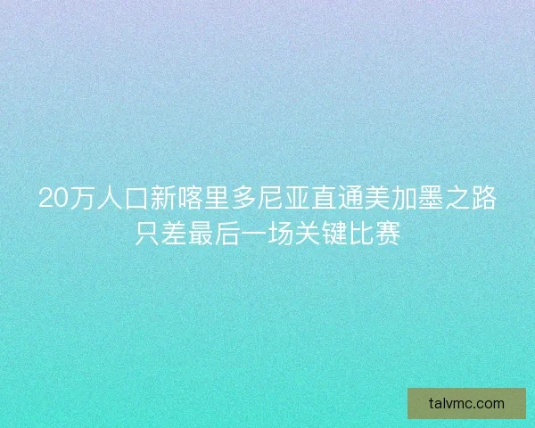 20万人口新喀里多尼亚直通美加墨之路只差最后一场关键比赛
