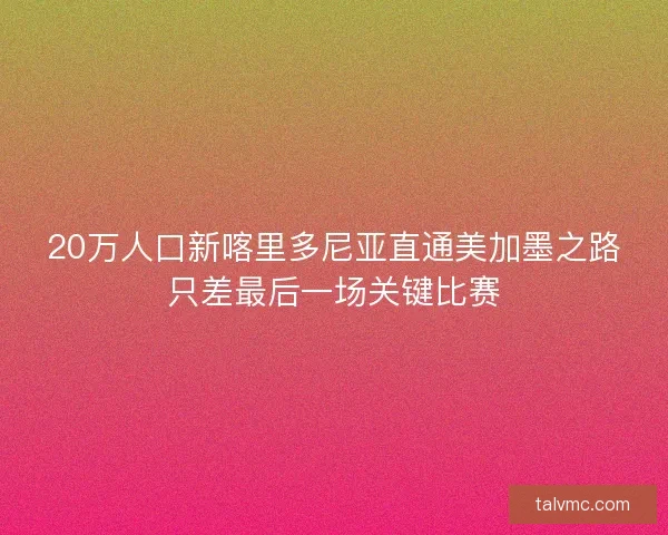 20万人口新喀里多尼亚直通美加墨之路只差最后一场关键比赛